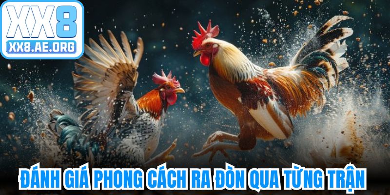 Đánh giá ra đòn thực tế kê màu mạng gà